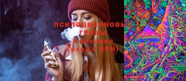 PSILOCYBIN Абдулино