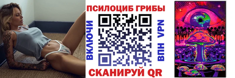 Галлюциногенные грибы Psilocybe  где можно купить   blacksprut вход  Чита 